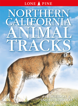 Paperback Northern California Animal Tracks Book