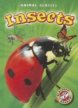 Library Binding Insects Book