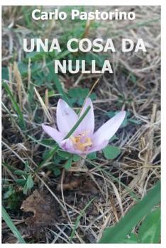 Paperback Una cosa da nulla: (Quasi un romanzo) [Italian] Book