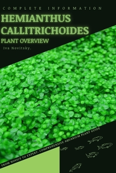 Hemianthus Callitrichoides: From Novice to Expert. Comprehensive Aquarium Plants Guide