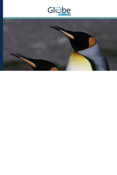 Paperback A zenei katarzis kvantumfizikai magyarázata [Hungarian] Book