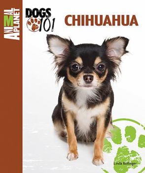 Spiral-bound Chihuahua Book