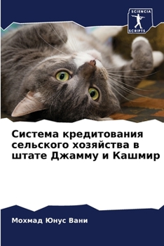 Paperback Система кредитования се& [Russian] Book
