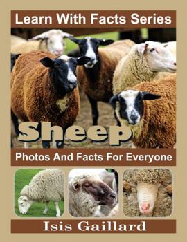 Paperback Sheep Photos and Facts for Everyone: Animals in Nature (Learn With Facts Series) Book