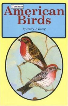 Paperback Common American Birds Book