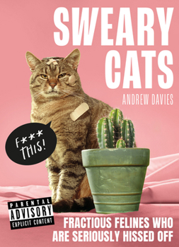 Hardcover Sweary Cats Book