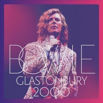 Vinyl Glastonbury 2000 Book