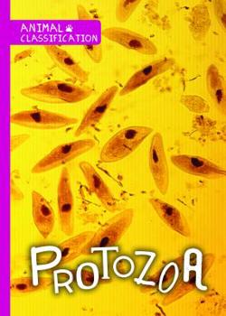 Library Binding Protozoa Book