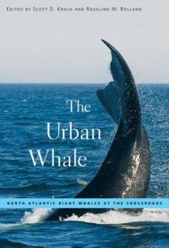 Hardcover The Urban Whale: North Atlantic Right Whales at the Crossroads Book