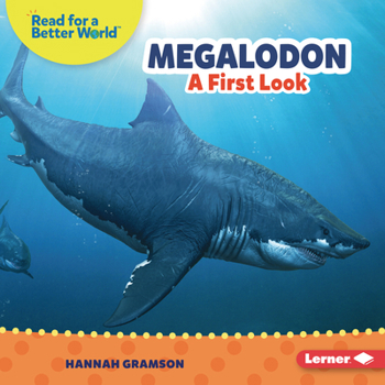 Megalodon: A First Look