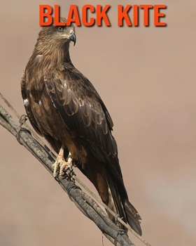 Paperback Black kite: Amazing Facts about Black kite Book