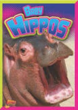 Library Binding Baby Hippos Book