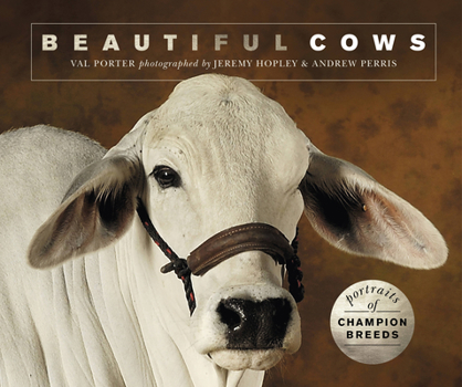 Paperback Beautiful Cows: Portraits of Champion Breeds Book