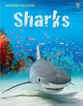 Sharks (Usborne Discovery Books) - Book  of the Usborne Discovery Books