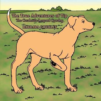 Paperback The True Adventures of Tip The Catahoula-Leopard Cowdog Book