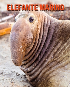 Elefante marino: Immagini bellissime e fatti interessanti Libro per bambini sui Elefante marino (Italian Edition)