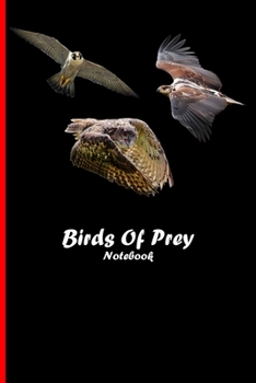 Paperback Birds Of Prey Notebook: Beautiful notebook with bird motive. 6"x9" inch Book