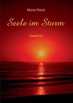 Paperback Seele Im Sturm [German] Book