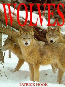 Hardcover Wolves Book