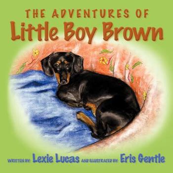 Paperback The Adventures of Little Boy Brown Book