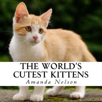 Paperback The World's Cutest Kittens: A text-free book for Seniors and Alzheimer's patients Book