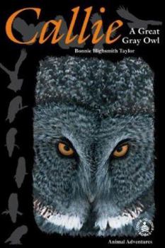 Library Binding Callie: A Great Gray Owl Book