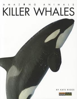 Paperback Killer Whales Book