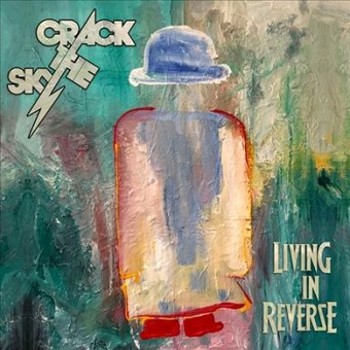 Vinyl Living in Reverse Book