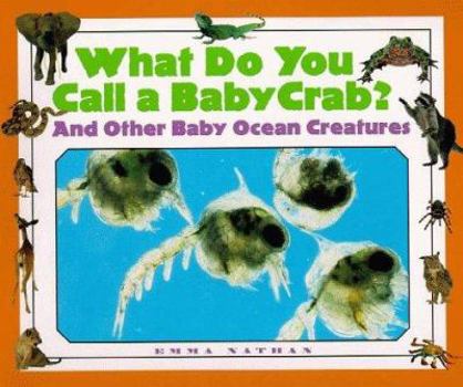 Library Binding Crab? and Other Baby Ocean Creatures Book