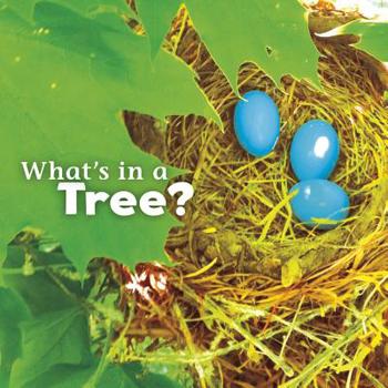 Hardcover What's in a Tree? Book