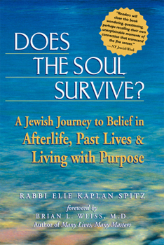 Paperback Does the Soul Survive?: A Jewish Journey to Belief in Afterlife, Past Lives & Living with Purpose Book