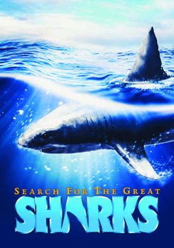 DVD Search For The Great Sharks Book