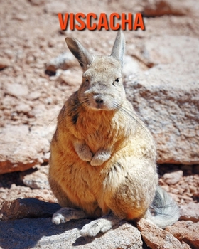 Paperback Viscacha: Beautiful Pictures & Interesting Facts Children Book About Viscacha Book