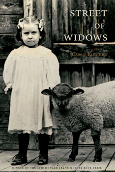 Paperback Street of Widows Book