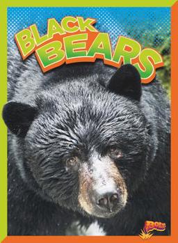 Paperback Black Bears Book