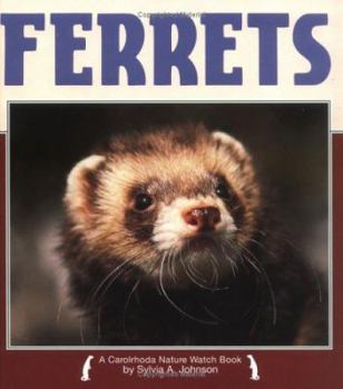 Hardcover Ferrets Book
