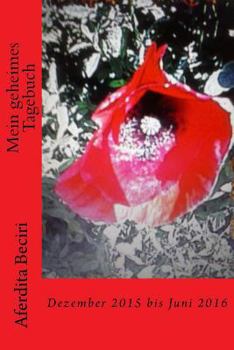 Paperback Mein geheimes Tagebuch: Dezember 2015 bis Juni 2016 [German] Book