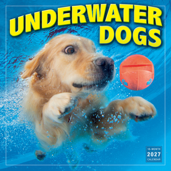 Calendar Underwater Dogs Book