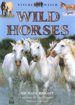Hardcover Wild Horses (Our Wild World) Book