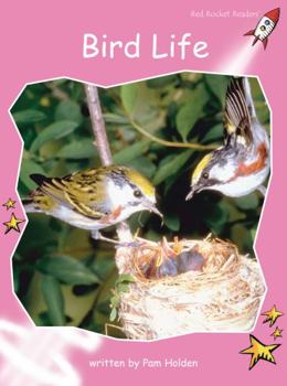 Bird Life - Book  of the Red Rocket Readers