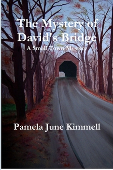 Paperback The Mystery of David's Bridge Book