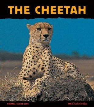 The Cheetah: Fast as Lightning (Animal Close-Ups) (Animal Close-Ups) - Book  of the Animal Close-Ups