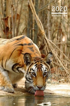 Paperback 2020 A5 Diary Week To View Planner For All Occasions: - Year Planner For Business, Office, Home, University, College, School, Appointments, Organizer. Book