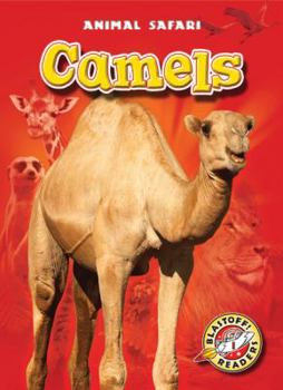 Camels - Book  of the Animal Safari