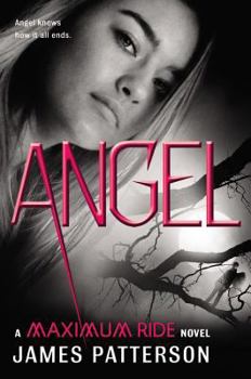 Hardcover Angel Book