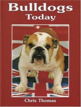 Hardcover Bulldogs Today Book