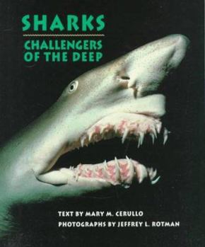 Hardcover Sharks: Challengers of the Deep Book