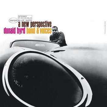 Vinyl A New Perspective (LP) Book