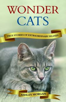 Paperback Wonder Cats: True Tales of Extraordinary Felines Book