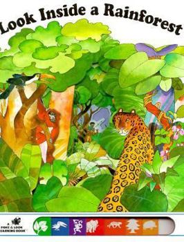 Look inside a Rainforest (Poke and Look) - Book  of the Usborne Look Inside